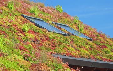Cold Cotes living roof systems
